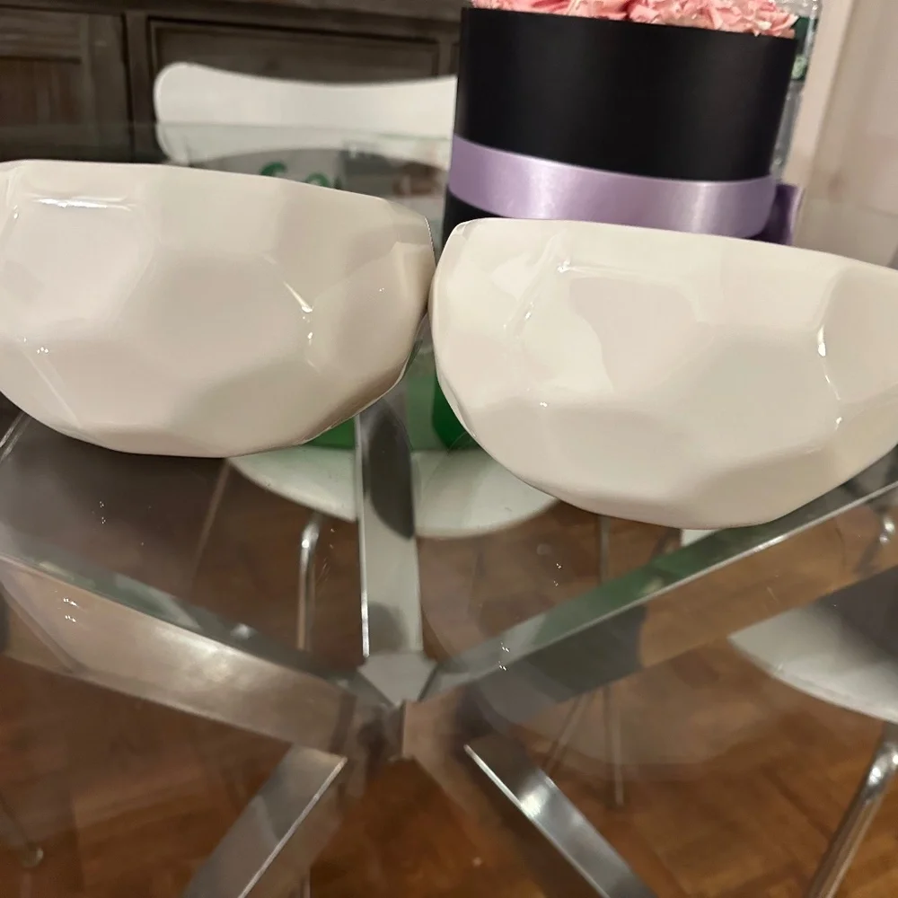Ceramic Dog- White Food Bowl and Water Bowl Set for Brachycephalic Dogs